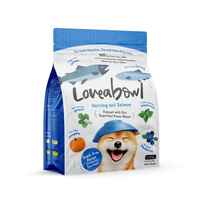 The importance for Choosing your Dog Food in your Pet’s Health and wellbeing
